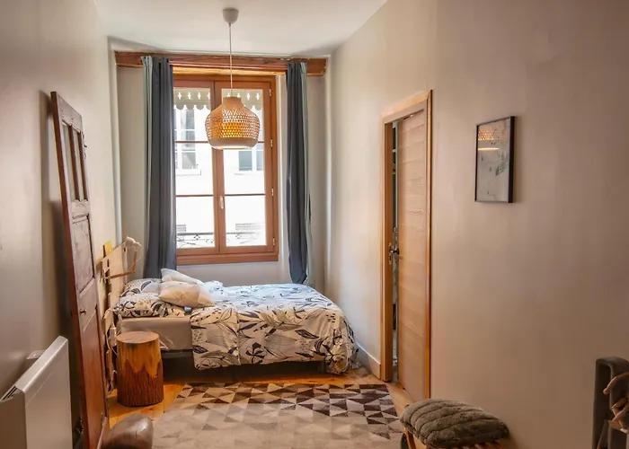 De Montagne Style Sur Le Quai Saint Laurent Et Bastille Grenoble