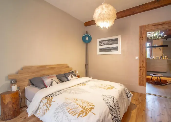 De Montagne Style Sur Le Quai Saint Laurent Et Bastille Appartement Grenoble