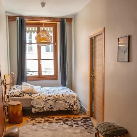 De Montagne Style Sur Le Quai Saint Laurent Et Bastille Grenoble