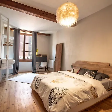 De Montagne Style Sur Le Quai Saint Laurent Et Bastille Apartamento Grenoble