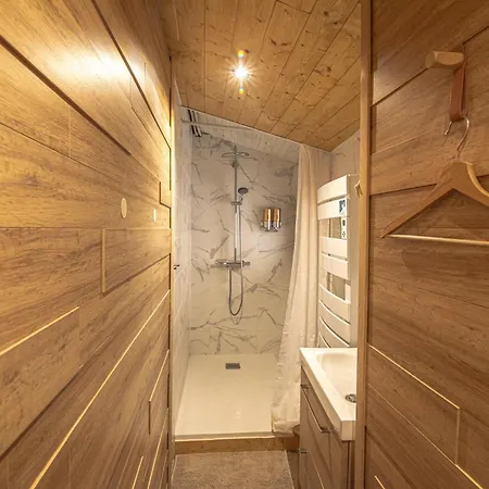 De Montagne Style Sur Le Quai Saint Laurent Et Bastille * グルノーブル