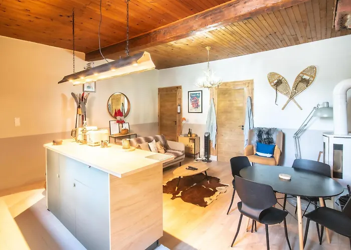 De Montagne Style Sur Le Quai Saint Laurent Et Bastille Apartment Grenoble