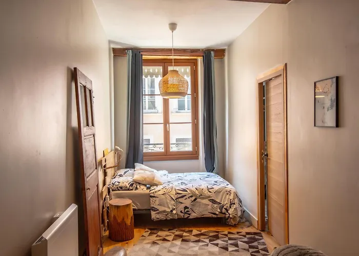 Appartement De Montagne Style Sur Le Quai Saint Laurent Et Bastille Grenoble