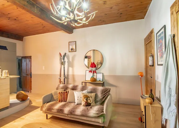 De Montagne Style Sur Le Quai Saint Laurent Et Bastille * Grenoble