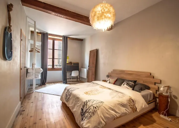 De Montagne Style Sur Le Quai Saint Laurent Et Bastille Appartement Grenoble